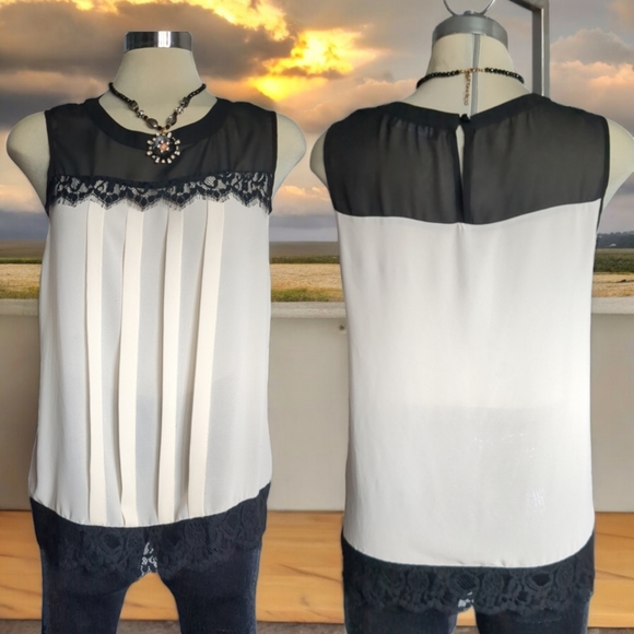 DOROTHY PERKINS Luxury Beige and Black Chiffon Sleeveless Blouse Size 14 - Picture 5 of 16